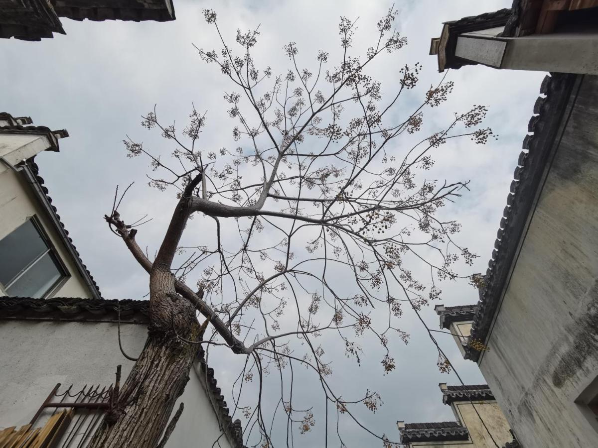 Xidi Kunlun International Hostel Yi (Anhui) Bagian luar foto